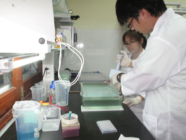 Những đề xuất tránh biến dạng tự chủ