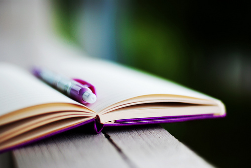 Gặp họa vì viết nhật ký nói xấu nhà chồng