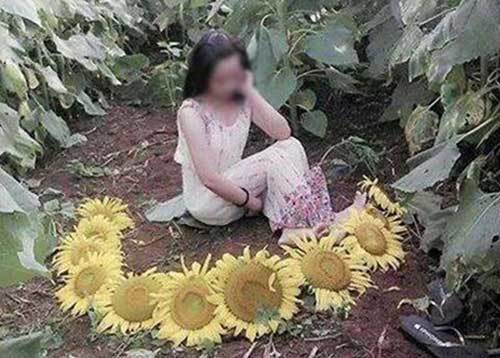 Xôn xao thiếu nữ xứ Nghệ chụp ảnh với hoa hướng dương bị ngắt