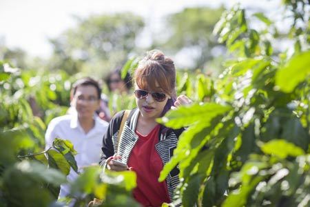 Đến Ban Mê, nghe Cà Phê kể chuyện!