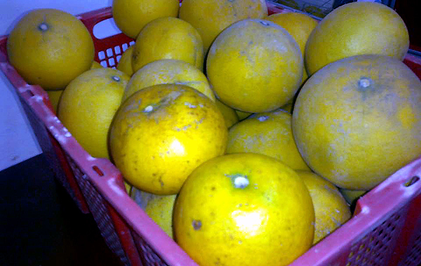 Cháy Bưởi Diễn tết: Hàng xấu dân buôn cũng không mua nổi