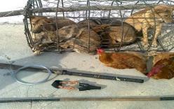 2 kẻ trộm chó bị dân làng vây đánh hội đồng đến chết