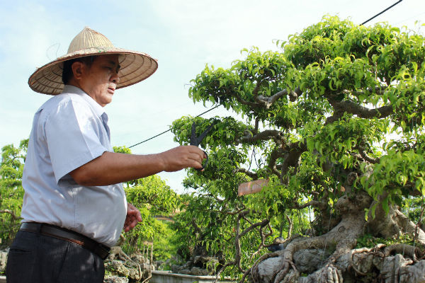 Đời thường của vị trung tướng 'về vườn'