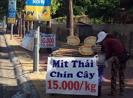 Cẩn thận với 'mít Thái chín cây'