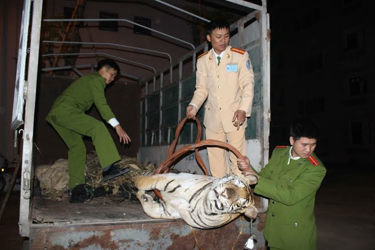 Bắt giữ đối tượng dùng xe tải vận chuyển hổ trái phép