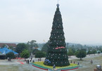 Ngắm cây thông Noel ‘khủng’ nhất xứ Nghệ