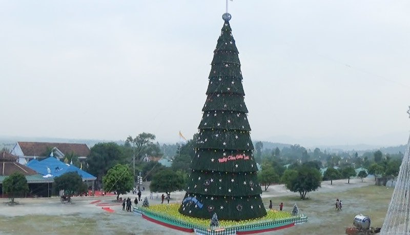 Ngắm cây thông Noel ‘khủng’ nhất xứ Nghệ