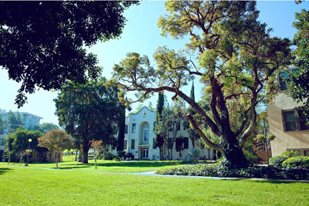 Tuyển sinh 4 trường Đại học bang California và Texas