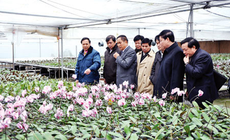 2015, Quảng Ninh ‘về đích’ nông thôn mới