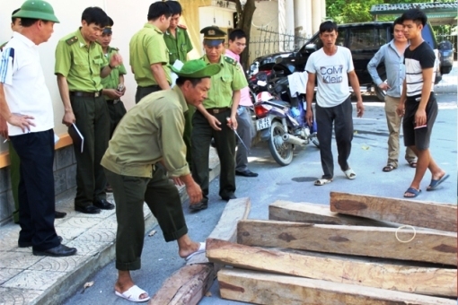 Bắt đội phó kiểm lâm chỉ đạo nhận hối lộ 100 triệu đồng