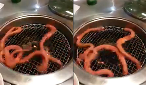 Món nướng sống ghê rợn