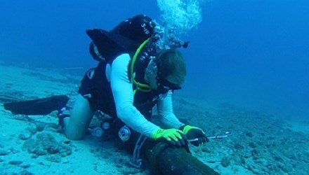 Vị trí đứt cáp AAG cách trạm cập bờ Vũng Tàu 117 km
