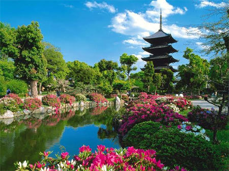 Nhiều khuyến mãi hấp dẫn cho tour Tết tại TST