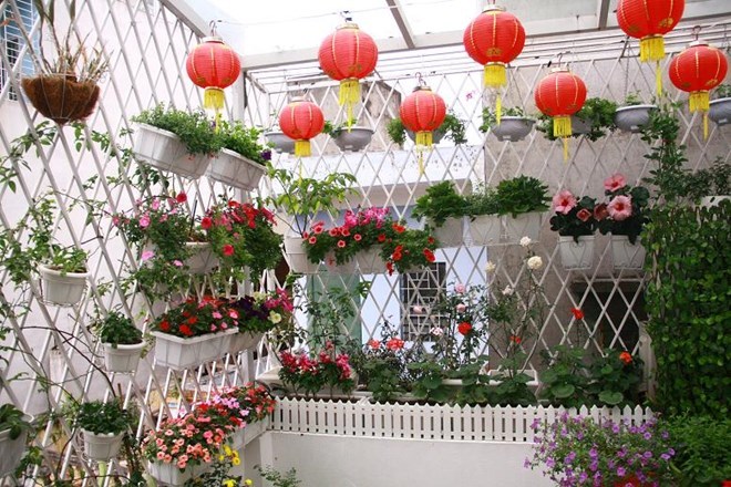 Ngỡ ngàng với nhà kính trồng hoa trên sân thượng Hà Nội