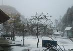Tuyết rơi trắng xóa ở Sa Pa