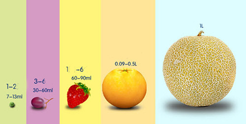 Sự thật “giật mình” về kích thước dạ dày trẻ