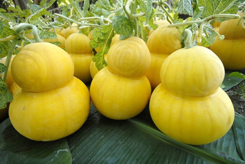 5 triệu đồng tiền vốn, kinh doanh gì dễ có lời trong dịp Tết?