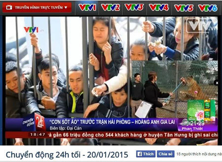 VTV 24h so sánh cổ động viên với “hổ đói”