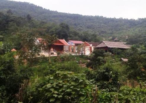 Làm rõ vụ 12 con dê ‘lạc’ vào trang trại Bí thư huyện