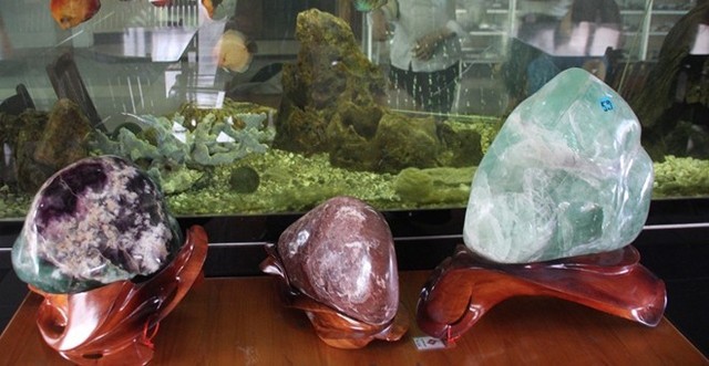 Bộ sưu tập đá tiền tỷ của đại gia Đồng Nai