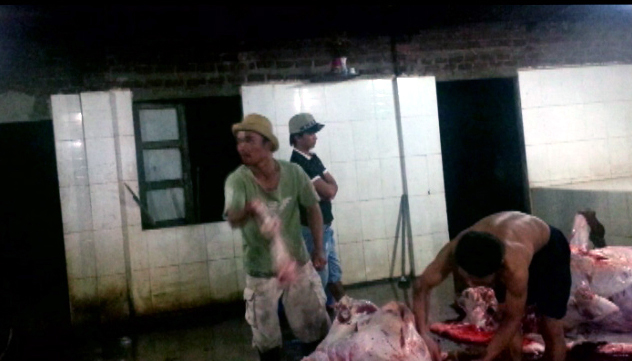 Đột nhập lò bò bơm nước lớn nhất Quảng Nam