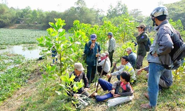 Rùa lạ bán cả trăm triệu ở Đà Nẵng