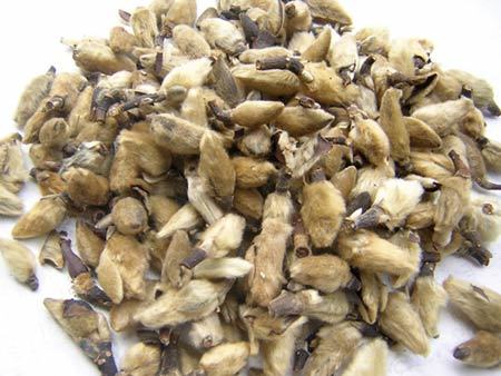 Khí lạnh ‘châm ngòi’ viêm xoang mũi