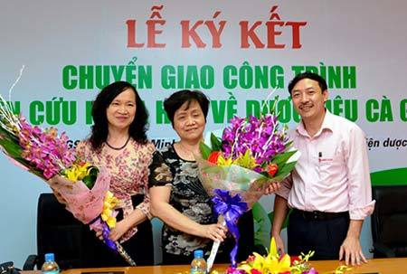 Vị thuốc quý bảo vệ gan bớt hậu họa rượu bia