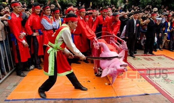 Tranh cãi nảy lửa quanh lễ hội chém lợn man rợ nhất châu Á