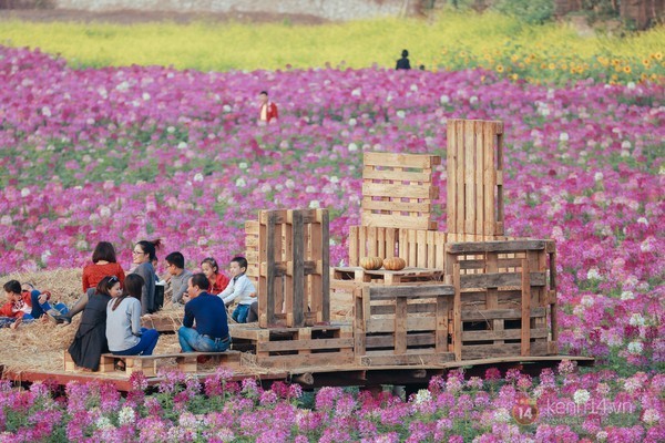 4 địa điểm chụp ảnh với hoa đẹp hút hồn ở Hà Nội