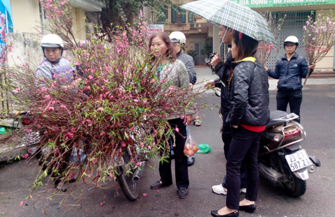 Tết Nguyên Đán, miền Bắc sẽ mưa rét