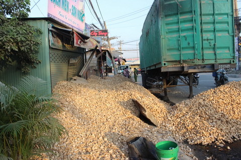 Hàng chục tấn khoai mì lấp kín 3 căn nhà ở Sài Gòn