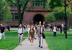 Harvard cấm giảng viên quan hệ tình dục với sinh viên