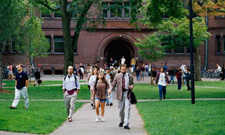 Harvard cấm giảng viên quan hệ tình dục với sinh viên
