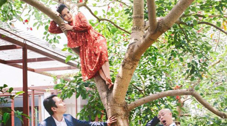Mỹ Linh vắt vẻo trên cây, Quang Dũng ngả ngốn bên Minh Hằng