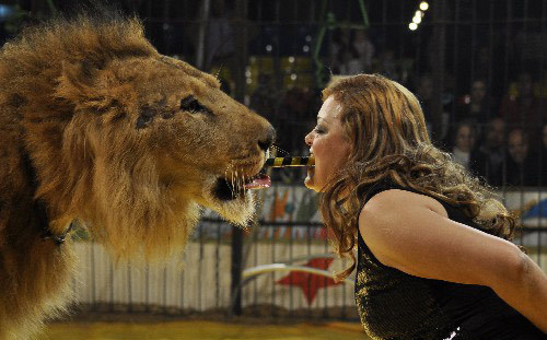 10 clip 'nóng': Sư tử bất ngờ vồ nữ huấn luyện viên