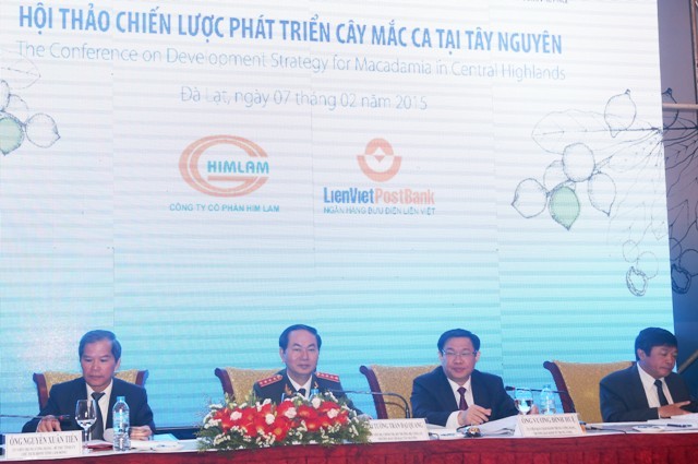 Nghiên cứu trồng 250.000 ha cây mắc ca trong 5 năm tới tại Tây Nguyên