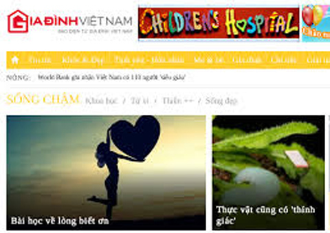 báo Gia đình Việt Nam