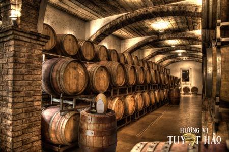 Masterchef Thanh Hòa và tuổi 40 đong đầy ‘hương vị tuyệt hảo’