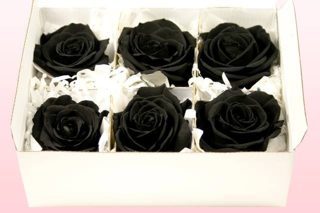 Hoa hồng đen 250.000 đồng/bông bung hàng dịp Valentine