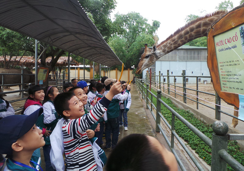 'Học vào mấy ngày nghỉ Tết con có giỏi thêm được không?'