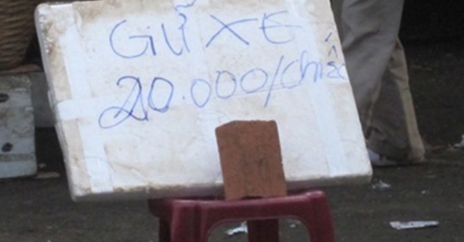 Toát mồ hôi với nạn 