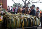 Dâng cặp bánh chưng nặng 7 tạ tại mộ bà Hoàng Thị Loan