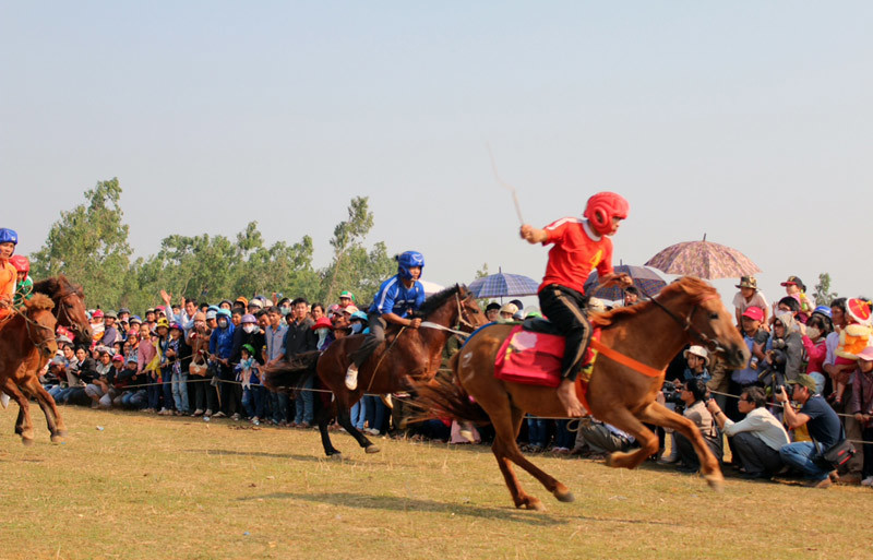 Đầu năm xem “kỵ sĩ nông dân” đua ngựa