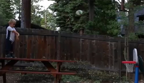 Thần đồng ném rổ 4 tuổi