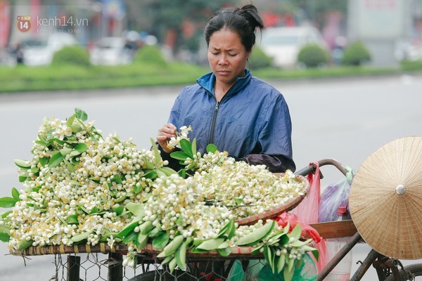 Hương hoa bưởi nồng nàn khắp phố Hà Nội