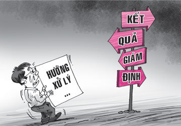 Tìm hiểu về giám định thương tật