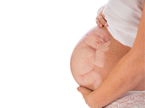 Con số bí ẩn về trứng và tinh trùng
