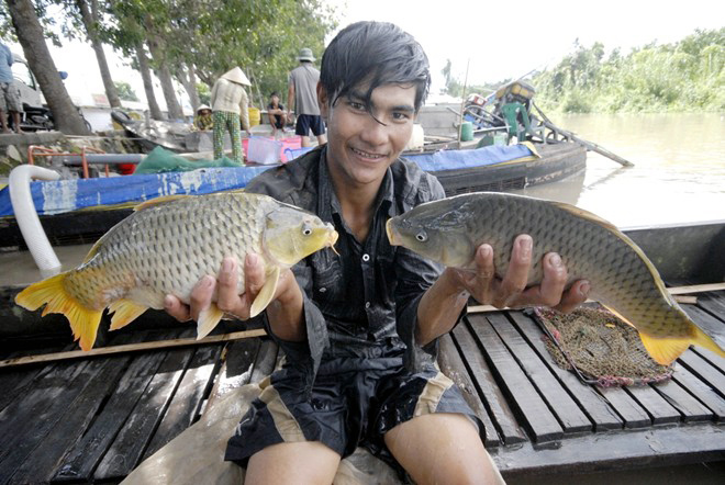 rửa-gà, rửa-cá, thức-ăn-công-nghiệp, nuôi, thực-phẩm-sạch, Tết, kháng-sinh, ung-thư