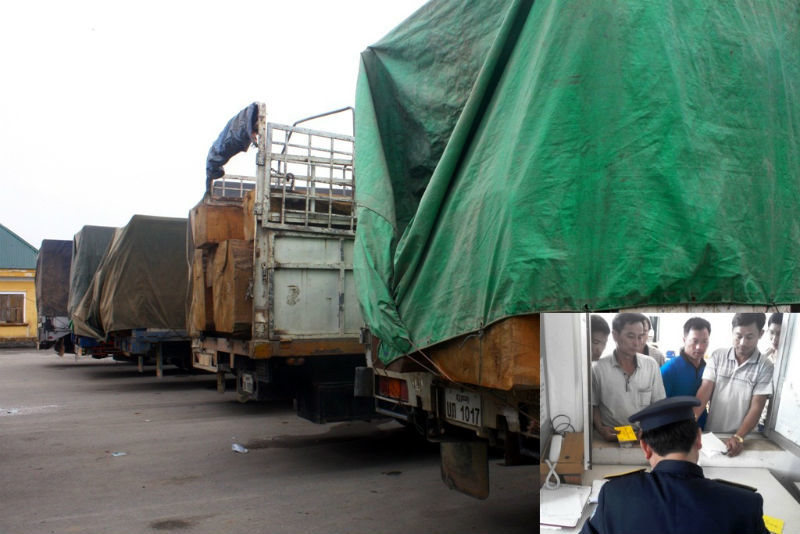 Đoàn xe Lào chở gỗ quá tải bị phạt hơn 100 triệu